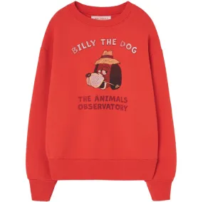 Bear Kids Sweatshirt in Red by The Animals Observatory