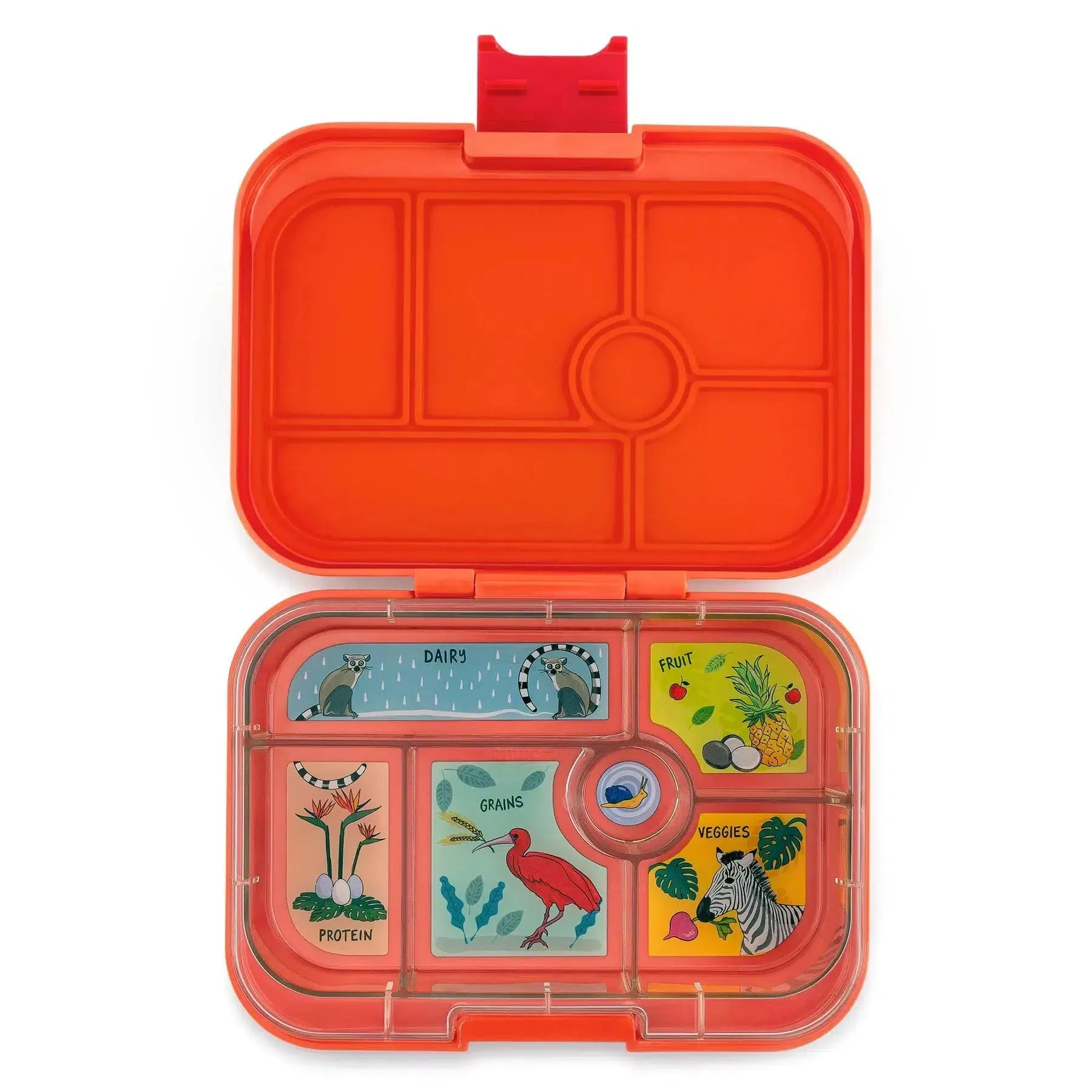 Bento Box - Original 6 Compartments