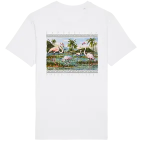 T-SHIRT  WOMEN "FLAMINGOS NOTES"